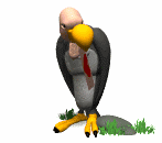 Gif animé vautour coeur